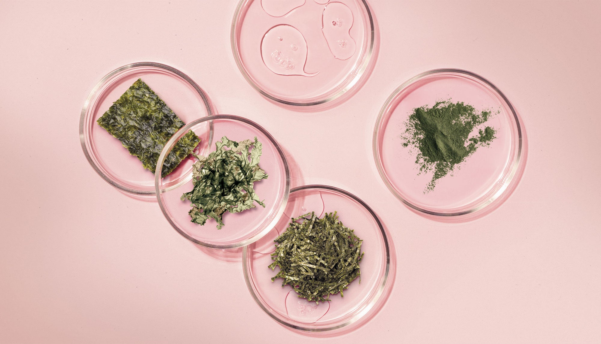 Maschera riparatore per capelli, alga nori Herbatint