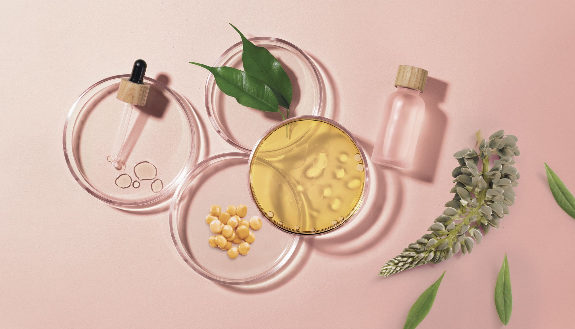 Maschera ristrutturante per capelli, olio di lupino Herbatint