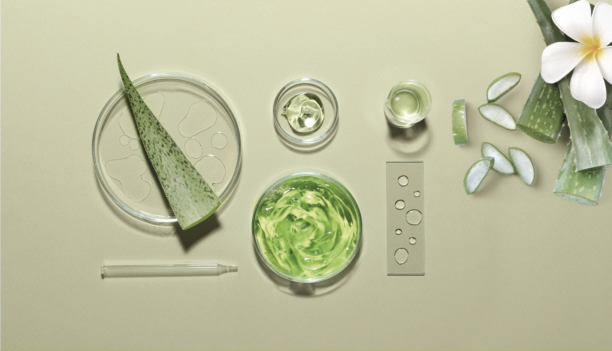 Shampoo dopo tintura capelli, aloe vera Herbatint