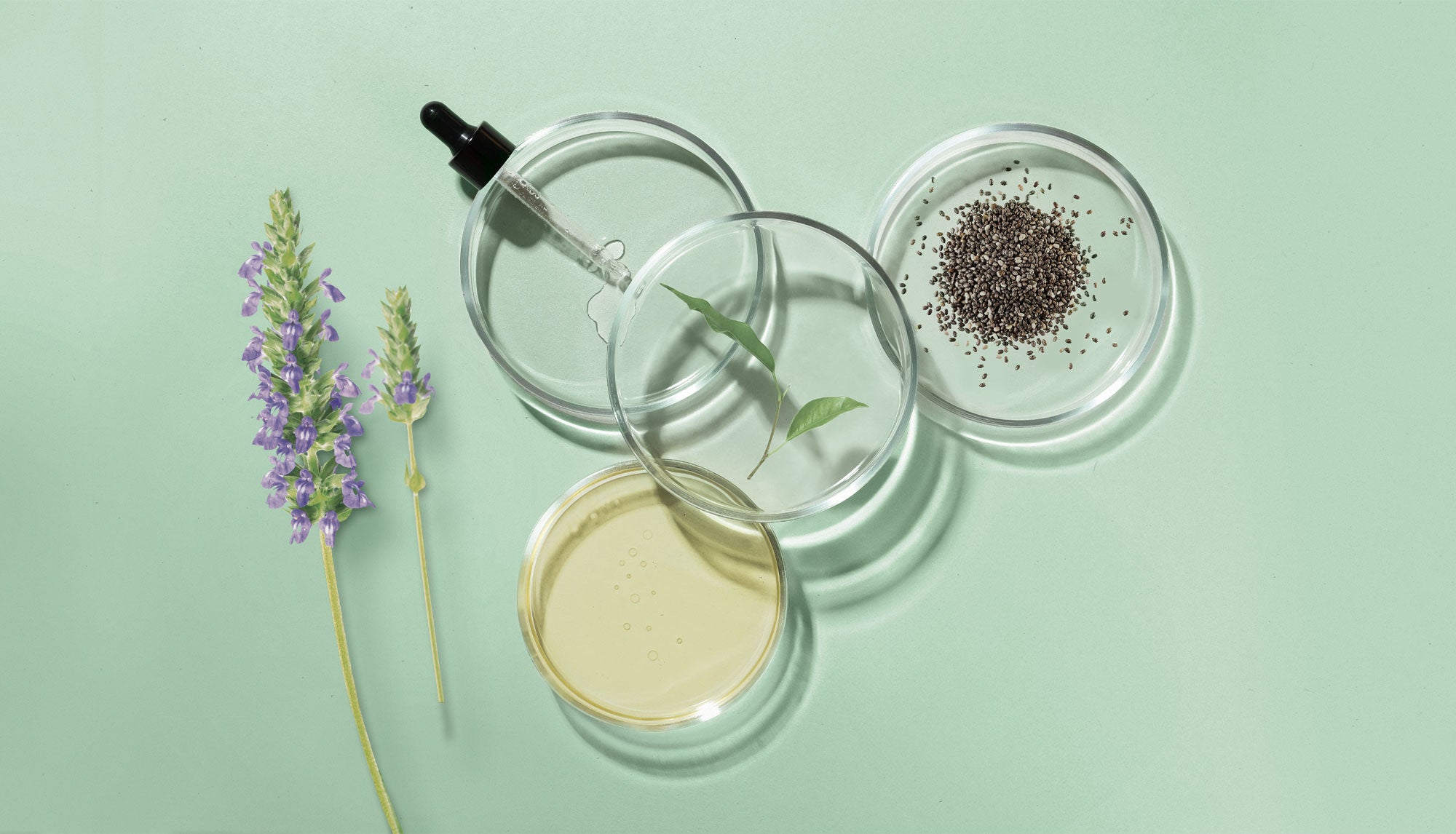 Shampoo contro le impurità dei capelli, semi di chia Herbatint