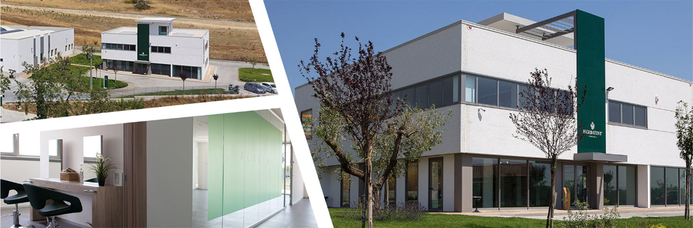 Collage de l’entreprise Herbatint : vue aérienne des bâtiments, extérieur du siège avec logo et intérieurs modernes, illustrant la transparence, le professionnalisme et le respect de l’environnement