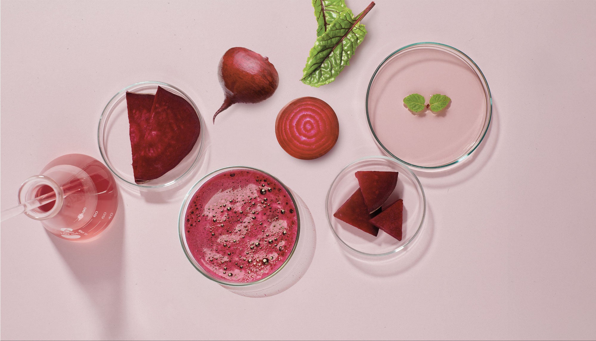 Betain aus Roter Bete mit Rote-Bete-Wurzel, Rote-Bete-Scheiben und Extrakt in Laborbehältern