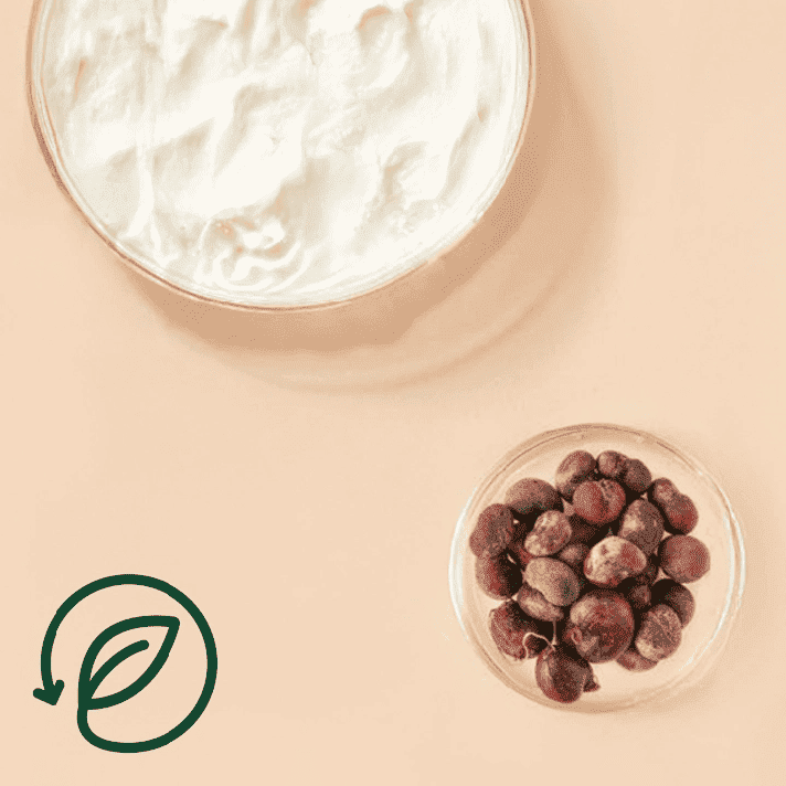 Duas taças sobre fundo bege—uma com creme branco e outra com frutos silvestres escuros—acompanhadas de um ícone estilizado de folha e seta circular, simbolizando uma abordagem circular