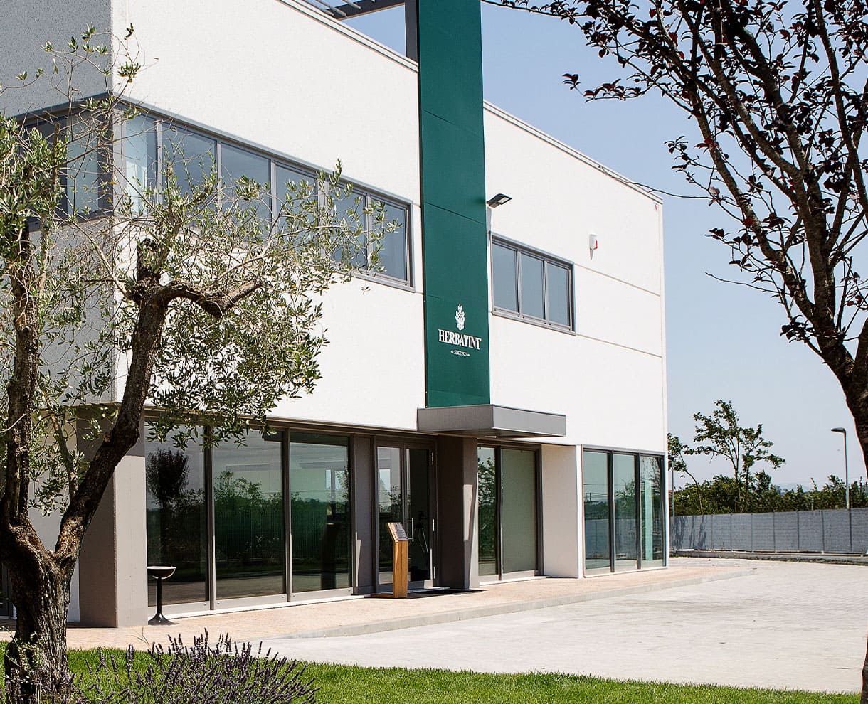 Vista exterior da sede da Herbatint com a entrada principal ladeada por árvores e grandes janelas de vidro num dia de sol